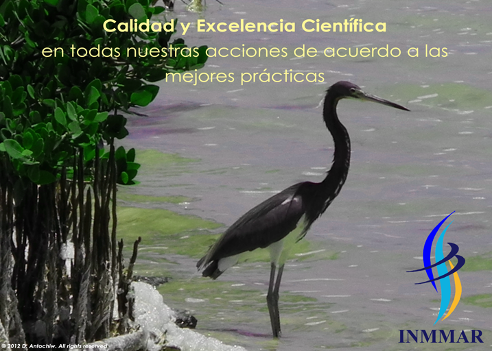 Valores01