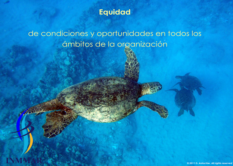 Valores03