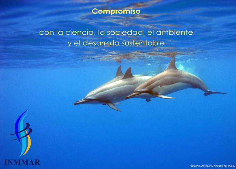 Valores04