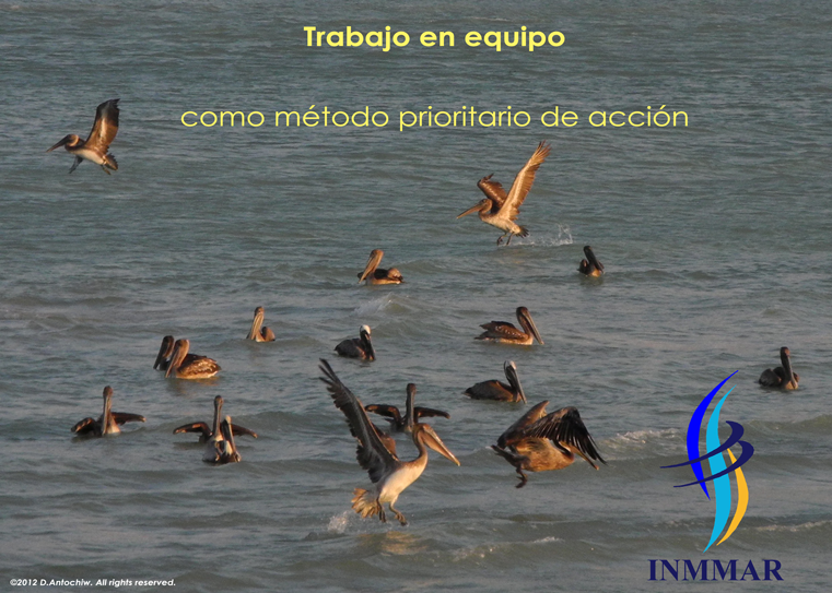 Valores05